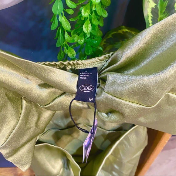NWT Cider Green Satin Dress - Picture 6 of 6